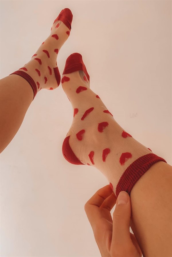 Kalp Kadın Tül Çorap - BORDO